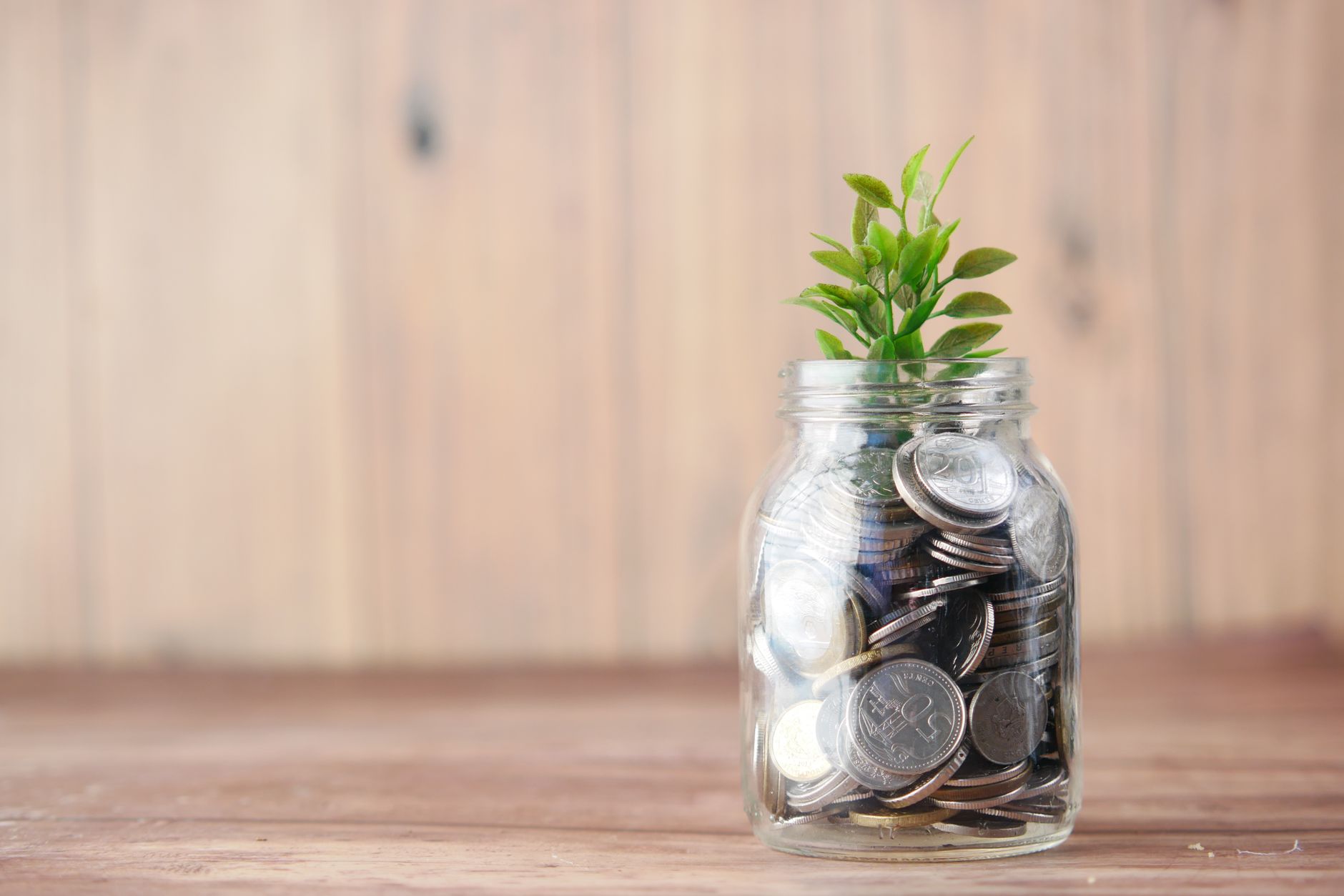 Financial planning and cash flow stability during agency host transition